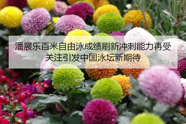 img_1786530509451_703_0_483.jpg